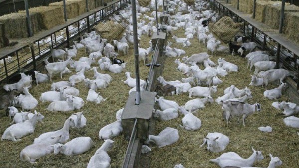  முழு விபரம்