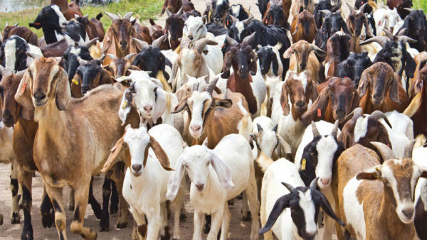  மருத்துவ பராமரிப்பு!