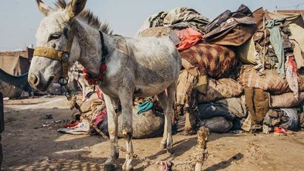  அதளபாதாளத்தில் பாகிஸ்தான் பொருளாதாரம்!