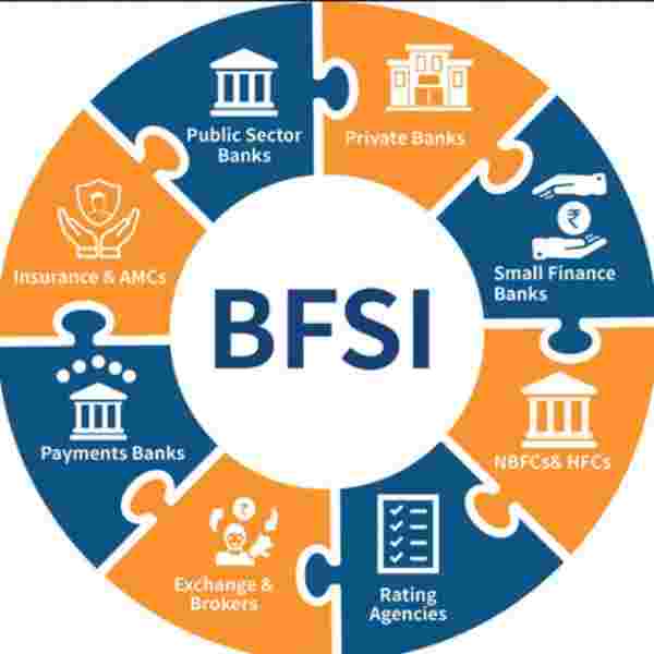 BFSI பிரிவு 