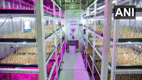  ஐடியா வேலை செய்யவில்லை!