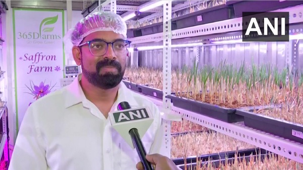  குங்குமப்பூ வளர்ப்பு!