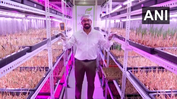  ஷிப்பிங் கண்டெய்னர்