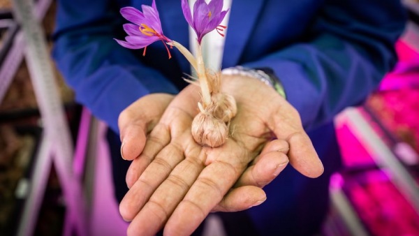  யார் இந்த சைலேஷ் மோதக்!