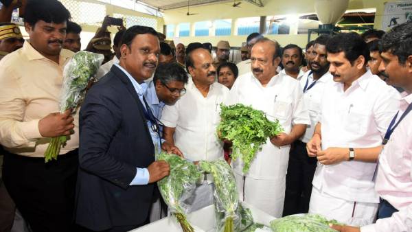 முருங்கை ஏற்றுமதி