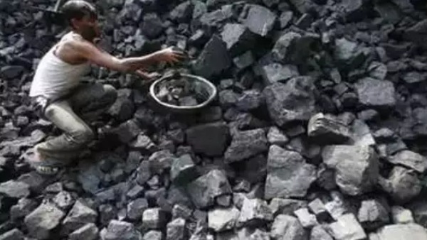 உள்ளீட்டு விலை 