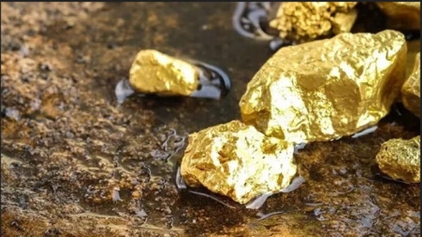 இந்திய புவியியல் ஆய்வு நிறுவனம் 