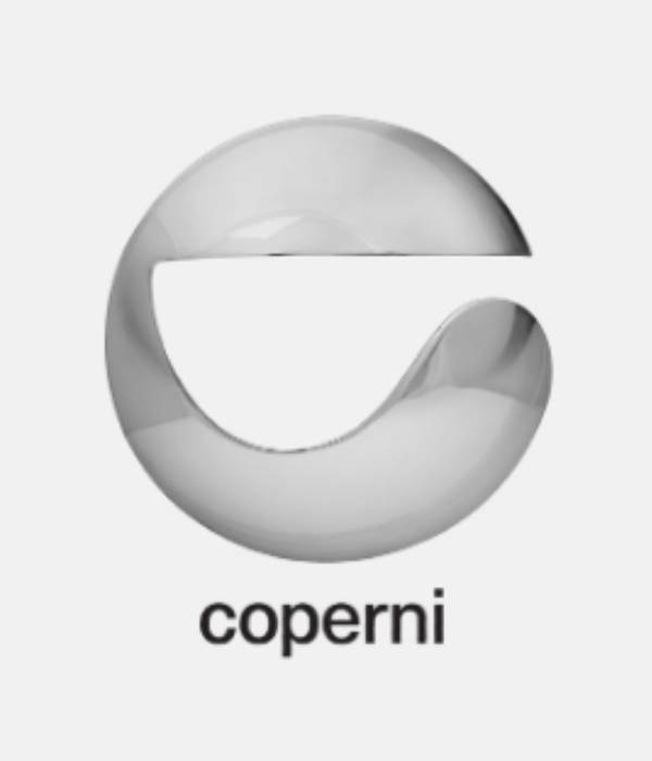  காபெர்னி ஹேண்ட் பேக்