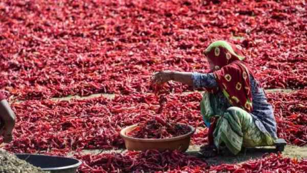 கர்நாடாகா-விற்கு வந்த குஜராத் 'புஷ்பா'.. அடுத்த பிரச்சனை..! 