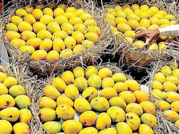 EMI-யில் மாம்பழங்கள் விற்பனை.. விலை உயர்வால் வந்த புதிய ஐடியா..! 