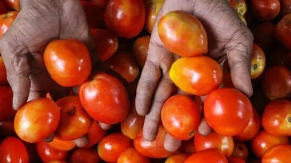 துபாய்: அம்மா பொண்ணு சேட்டை.. தங்கம், ஐபோன் வாங்குனது போய் இப்ப தக்காளி வாங்குறாங்க..!