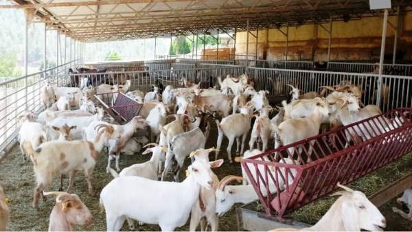 காத்துவாக்குல  ரூ.2லட்சம் சம்பாதிக்கலாம்! பெண்களுக்கு அரிய வாய்ப்பு..! 