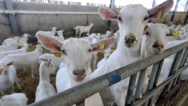 காத்துவாக்குல  ரூ.2லட்சம் சம்பாதிக்கலாம்! பெண்களுக்கு அரிய வாய்ப்பு..! 