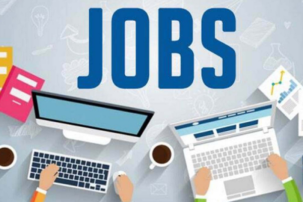 3 கோடி பேருக்கு வேலைவாய்ப்பு.. இந்தியாவில் இப்போ 'இந்த'துறை தான் பெஸ்ட்..! 