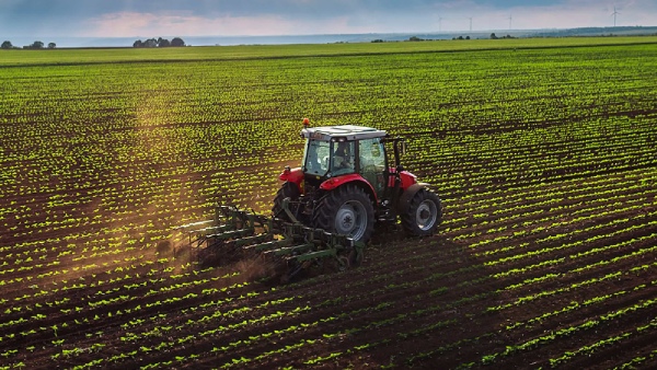 விவசாய துறையில் இப்படியொரு பிஸ்னஸ் ஐடியாவா.. வாவ், இது ஈசியா இருக்கே..!