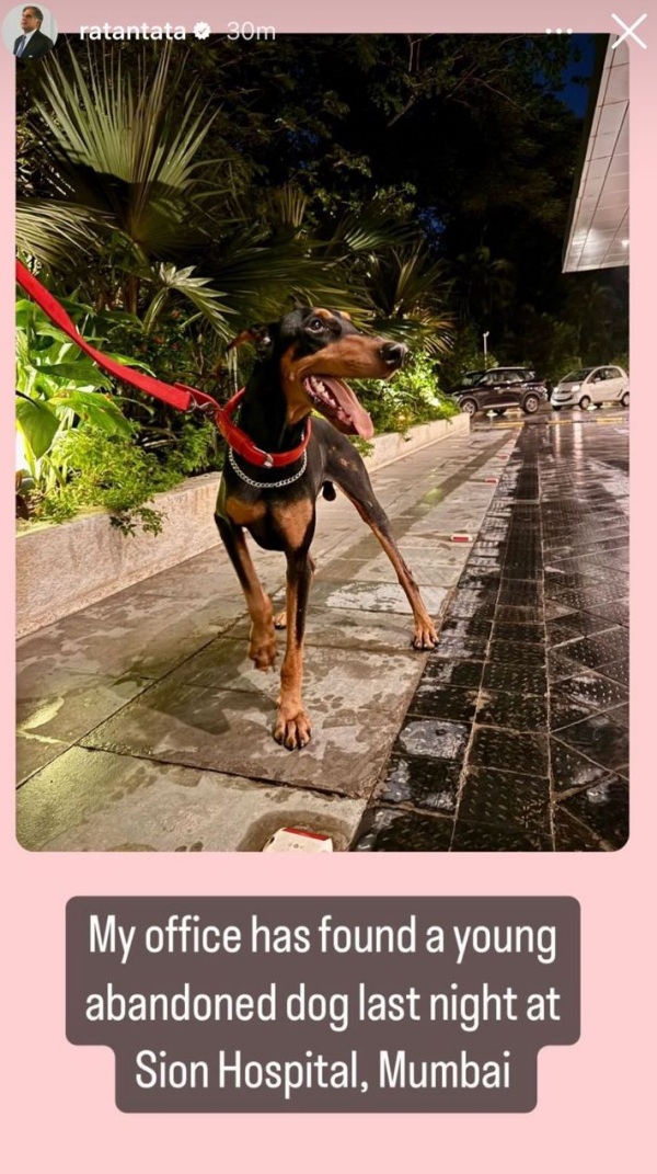 ரத்தன் டாடா: யாருதுப்பா இந்த நாய்.. இன்ஸ்டா பதிவால் சிலிர்த்துபோன நெட்டின்கள்..!! 