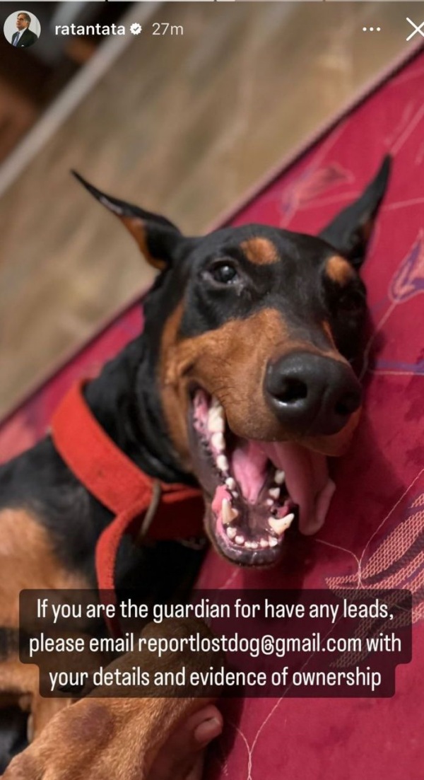 ரத்தன் டாடா: யாருதுப்பா இந்த நாய்.. இன்ஸ்டா பதிவால் சிலிர்த்துபோன நெட்டின்கள்..!! 