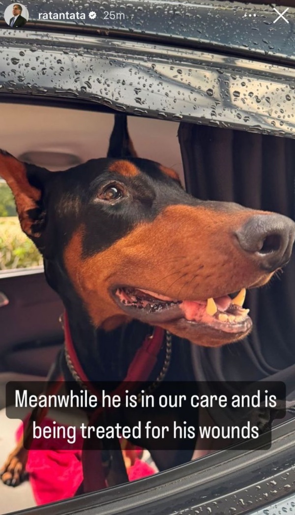 ரத்தன் டாடா: யாருதுப்பா இந்த நாய்.. இன்ஸ்டா பதிவால் சிலிர்த்துபோன நெட்டின்கள்..!! 