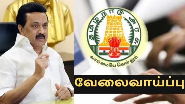 50000 பேருக்கு தமிழ்நாடு அரசு வேலை..முதல்வர் ஸ்டாலின் கொடுத்த சர்ப்ரைஸ்..இளைஞர்களுக்கு குட் நியூஸ்.! 50000 பேருக்கு தமிழ்நாடு அரசு வேலை..முதல்வர் ஸ்டாலின் கொடுத்த சர்ப்ரைஸ்..இளைஞர்களுக்கு குட் நியூஸ்.!