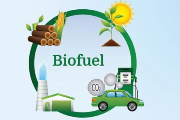 BIOFUEL தான் எதிர்காலம்.. ஜி20 நாடுகளுக்கு முக்கிய அழைப்பு விடுத்தார் மோடி..! 