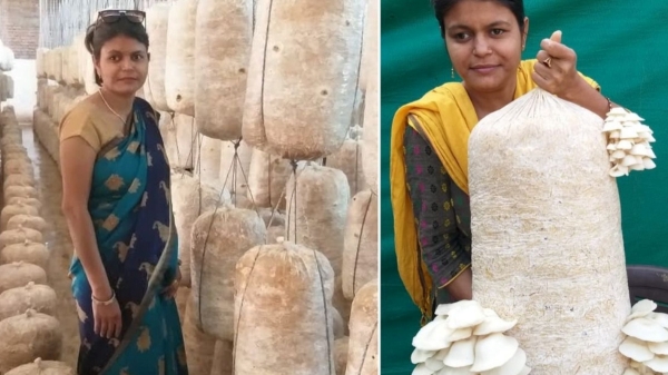 பேராசிரியர் டூ தொழிலதிபர்.. மாசம் 1.5 லட்சம் முழுசா லாபம்..!! 