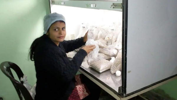 பேராசிரியர் டூ தொழிலதிபர்.. மாசம் 1.5 லட்சம் முழுசா லாபம்..!! 