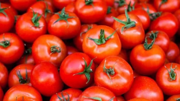 Tomato: விண்ணை முட்டிய தக்காளி விலை ரூ.200லிருந்து ரூ.4க்கு சரிவு.. அதிர்ச்சியில் விவசாயிகள்..! 