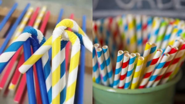 Business Idea: வெறும் ரூ.2 லட்சம் முதலீட்டில் ஸ்மார்ட்டான ஐடியா..!!