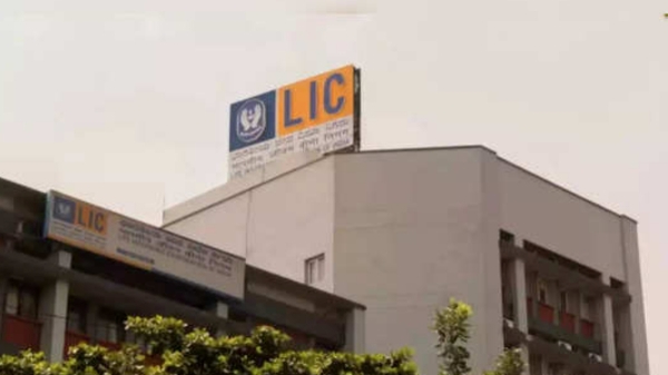 300% மேல் லாபம்! LIC கல்லா பெட்டியை நிரப்பிய டாப் 15 மல்டிபேக்கர் பங்குகள்.. உங்களிடம் இது உள்ளதா? 