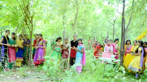 பெண் குழந்தைகள் பிறந்தால் 111 மரக்கன்றுகள் நட வேண்டும்.. ராஜஸ்தான் கிராமத்தில் விநோதம்..!! 