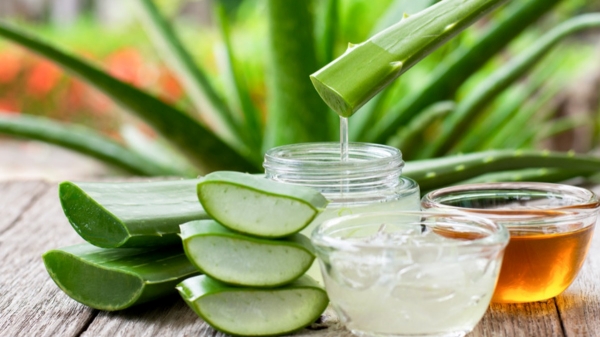 அழகுப் பொருட்கள் துறையில் சூப்பர் பிஸ்னஸ் ஐடியா - Aloevera Gel