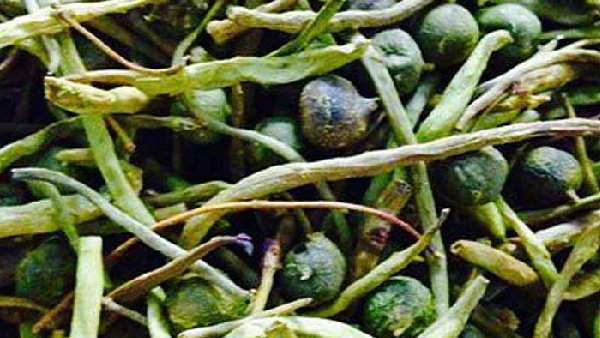 தக்காளி, வெங்காயம் எல்லாம் இது பக்கத்துல வராது.. இந்தியாவின் விலையுயர்ந்த காய்கறி எது தெரியுமா..?