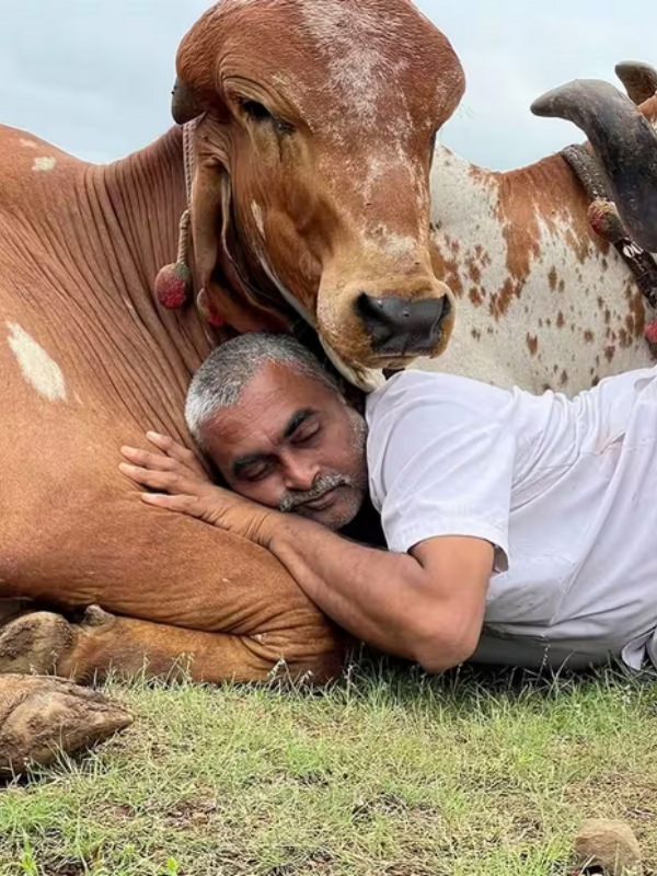 மாதம் ரூ.80 சம்பளத்துக்கு மாடு மேய்த்தவர்.. நெய் வியாபாரத்தில் ரூ.8 கோடி சம்பாதிக்கிறார்..!! 