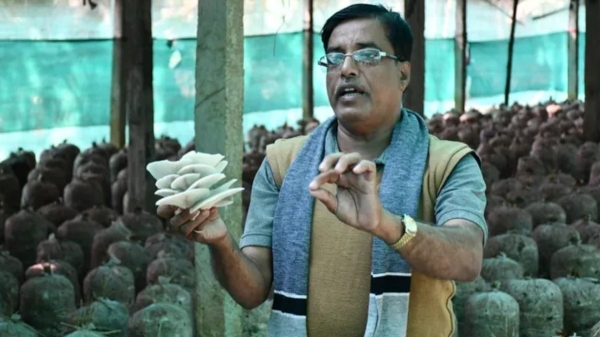 வெறும் ரூ.36 முதலீட்டில் தொடங்கிய காளான் வளர்ப்பு.. இன்று கோடியில் புரளும் சந்தோஷ் மிஸ்ரா..! 