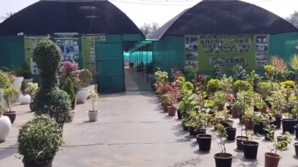 டிம்பர் மர வளர்ப்பு: 50 கோடி சம்பாதிக்கும் தஞ்சாவூர் விவசாய குடும்பம்.. அடேங்கப்பா..! 