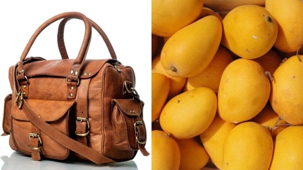 சென்னை விஞ்ஞானிகளின் புதிய கண்டுபிடிப்பு.. மாம்பழத்தில் இருந்து தோல் பொருட்கள் தயாரிப்பு..! 