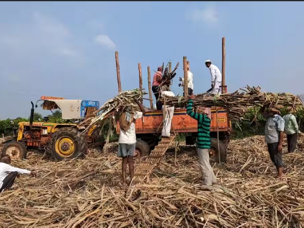 பட்ஜெட்டில் இந்த அறிவிப்பு மட்டும் வந்துட்டா.. விவசாயிகளுக்கும், மக்களுக்கும் ஜாக்பாட் தான்..! 