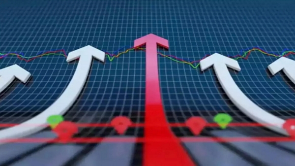 பிரபல முதலீட்டாளர் டோலி கன்னா செயலால் அனைவரது கவனத்தையும் ஈர்த்த மல்டிபேக்கர் பங்கு 