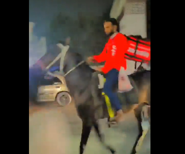 பசுபதி எடுறா குதிரைய... பெட்ரோல் தட்டுப்பாட்டால் குதிரையில் சோமேட்டோ டெலிவரி.. செம வீடியோ..!! பசுபதி எடுறா குதிரைய... பெட்ரோல் தட்டுப்பாட்டால் குதிரையில் சோமேட்டோ டெலிவரி.. செம வீடியோ..!!