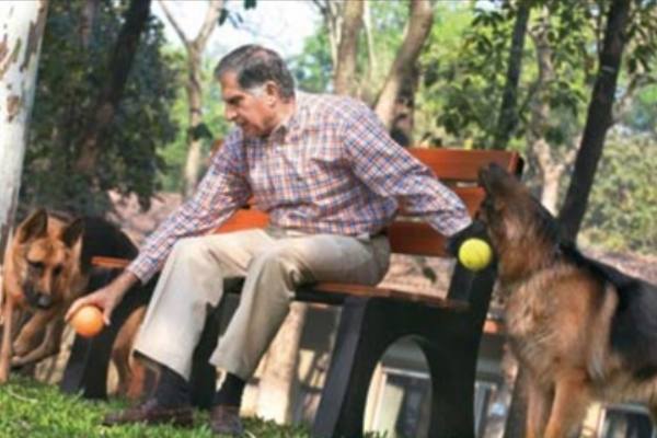 Ratan Tata: வாயில்லா பிராணிகளுக்குச் சிறப்பு மருத்துவமனை.. பெரிய மனுஷன் பெரிய மனுஷன்தான்..! 