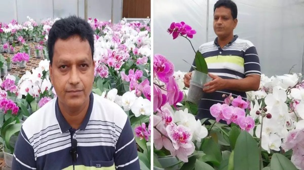 மாதம் ரூ.3 லட்சம் சம்பளம் தரும் வேலையை விட்டு நர்சரி தொடங்கியவரின் ஆண்டு வருமானம் ரூ.2 கோடி 