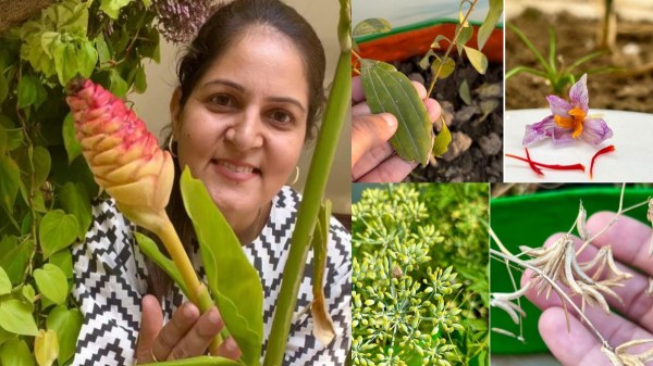 டாக்டர் டூ மசாலா எக்ஸ்பர்ட்.. யார் இந்த ரதி..?