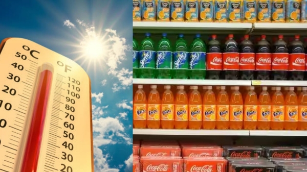 மாலா ஃபேனை 12ம் நம்பரில் வை.. கொளுத்தும் வெயில்! குளிர்பான நிறுவனங்களுக்கு ஜாக்பாட்! இதை பாருங்க 