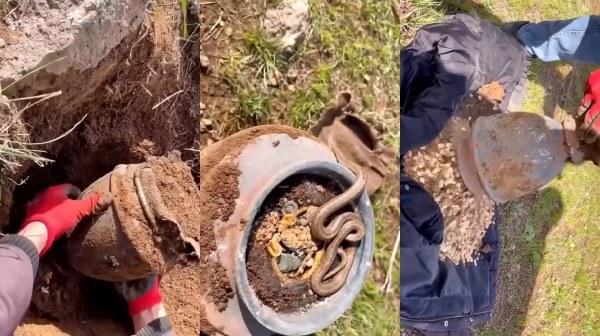 4.54 பில்லியன் வருட பழைய பொக்கிஷம்.. உள்ளிருந்து வந்த உஸ்ஸ் சத்தம்.. திறந்து பார்த்தவர்களுக்கு ஷாக் 