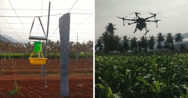 தண்ணீர் இல்லை, மணல் கிடையாது.. அலமாரியில் சோளம் விளைவிக்கும் நாமக்கல் விவசாயி..!! 