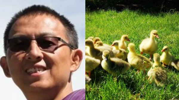 வாத்து பண்ணை வைத்த மைக்ரோசாப்ட் ஊழியர்.. சோஷியல் மீடியாவில் டிரெண்டாகும் பதிவு..! 