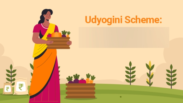  ஆச்சரியமா இருக்கே! 50 சதவீத மானியத்தில் அரசு வழங்கும் கடன்.. பெண்களுக்கு ஜாக்பாட்!