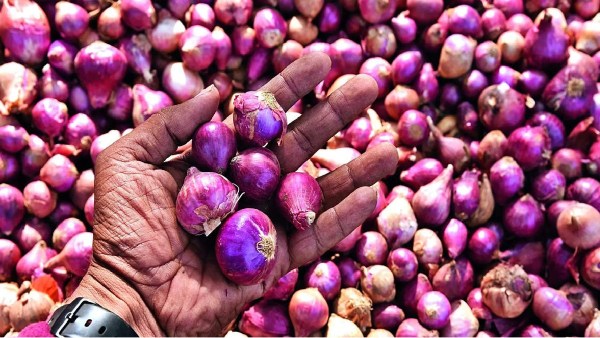 ஹார்ட் அட்டாக் கொடுக்கும் வெங்காய விலை உயர்வு.. இனி வெங்காய சட்னி கேட்டா மண்டை உடைவது நிச்சயம்.!! 