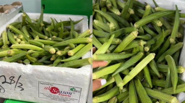  ரூ.650-க்கு விற்கப்படும் 1 கிலோ வெண்டைக்காய்.. எங்கே தெரியுமா? ஷாக் கொடுக்கும் வீடியோ!