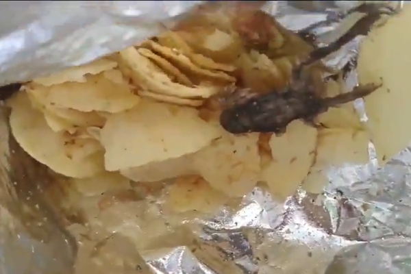  உணவு பொருட்களில் புழு, பூரான், எலி.. முகம் சுளிக்க வைக்கும் வீடியோ.. என்ன நடக்குது..!